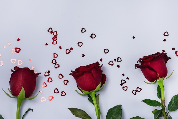 Roses Red Flower on Light Blue Background Red Confetti in Shape of Hearts