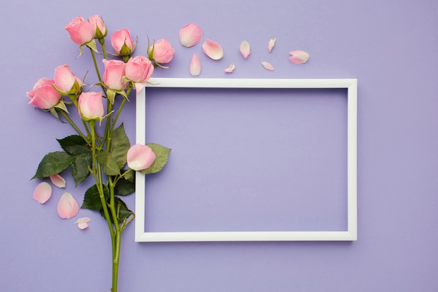 Roses with frame beside