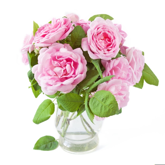 roses with leaves bunch in vase isolated