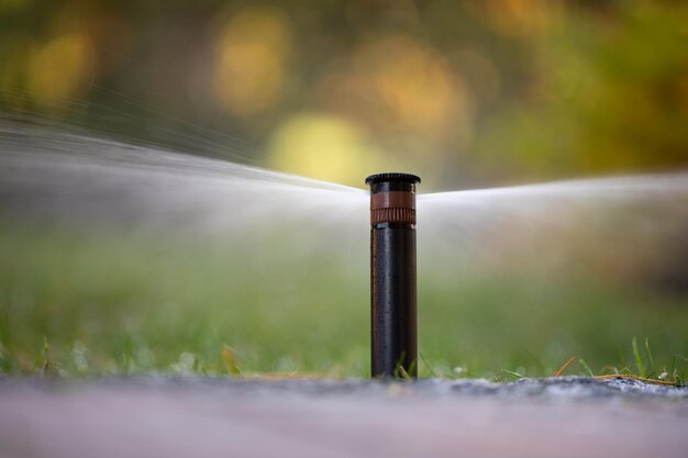 The rotary nozzle of the automatic watering system waters the juicy young green lawn grass. Selective focus.