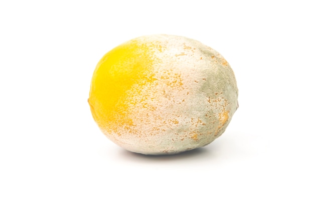 Rotten lemon on a white background