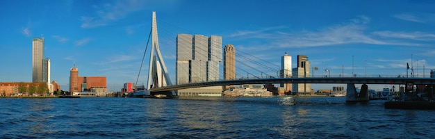 Rotterdam cityscape netherlands