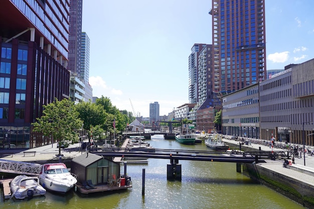 ROTTERDAM NETHERLANDS JUNE 9 2022 Rotterdam cityscape with canal on sunny day Netherlands