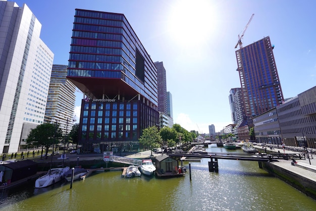 ROTTERDAM NETHERLANDS JUNE 9 2022 Rotterdam cityscape with canal on sunny day Netherlands