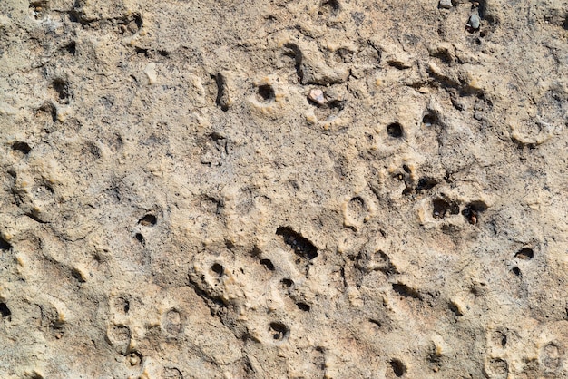 The rough textured stone surface for backgrounds and for wallpaper