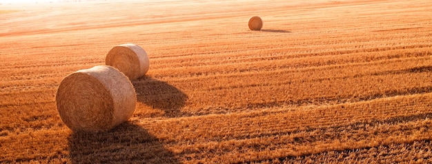 Round bales on the field View from a drone