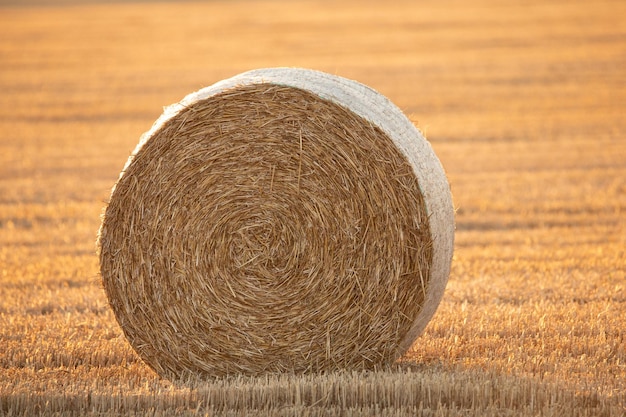 Round bales on the field View from a drone