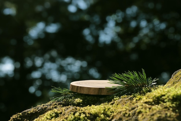 A round carved wooden slab lies on a stone with moss in the forest, a stand, a podium. Bokeh