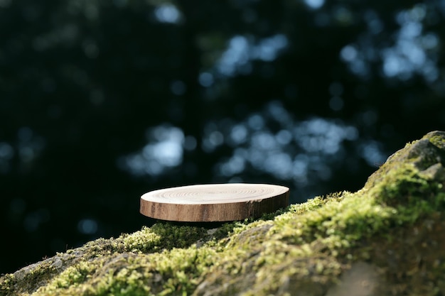 A round carved wooden slab lies on a stone with moss in the forest, a stand, a podium. Bokeh