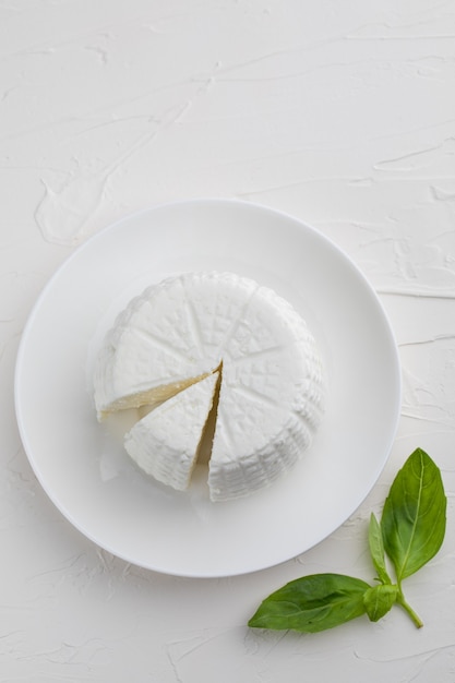 Round cottage cheese on white background