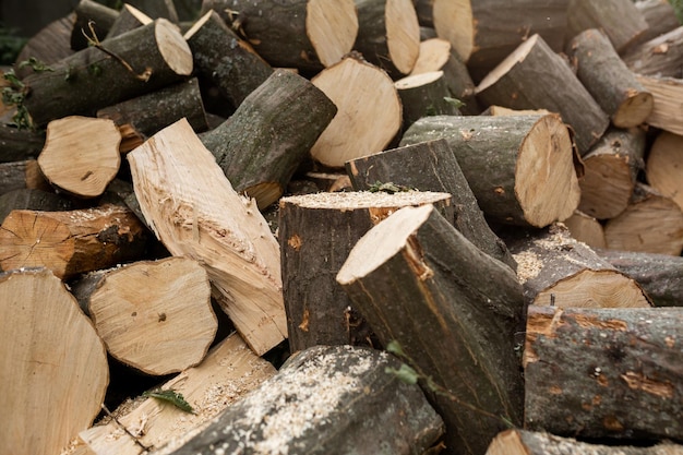 Round firewood lies on the grass in the yard Sawn tree pads