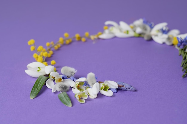 Round frame of flowers snowdrops mimosa and willows floral composition on violet background