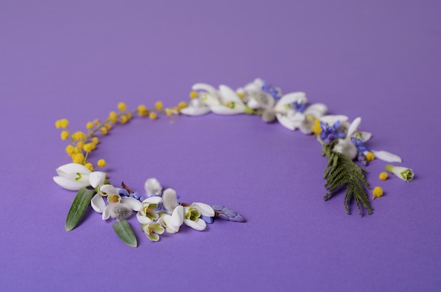 Round frame of flowers snowdrops mimosa and willows floral composition on violet background