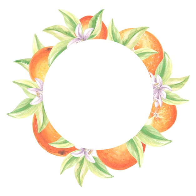 Round frame of oranges with green leaves and white flowers Summer citrus template with copy space