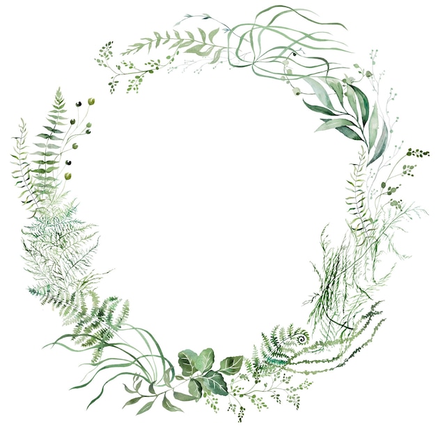 Round frame with Watercolor fern twigs with green leaves isolated illustration botanical wedding