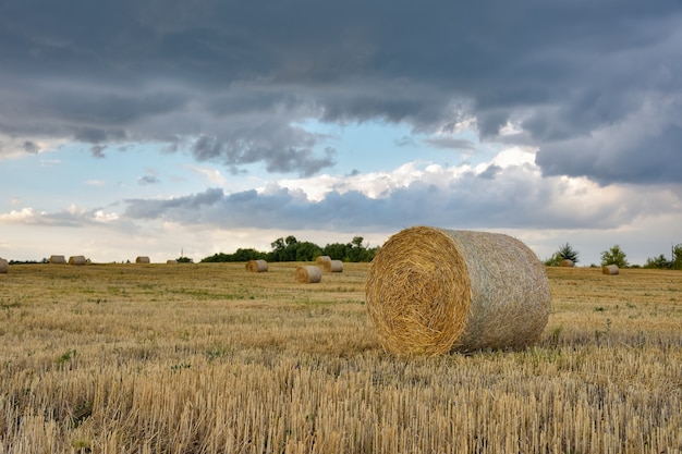 Round haystack against the sky, harvesting