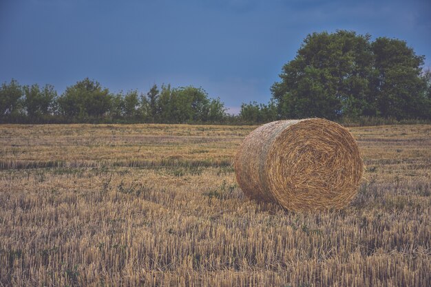 Round haystack against the sky, harvesting