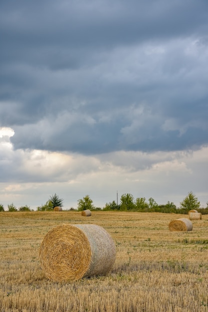 Round haystack against the sky, harvesting