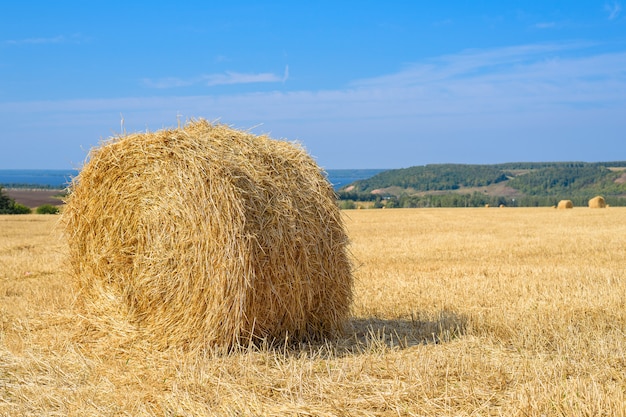 Round haystack in the field after haymaking, copy space, agricultural industry concept