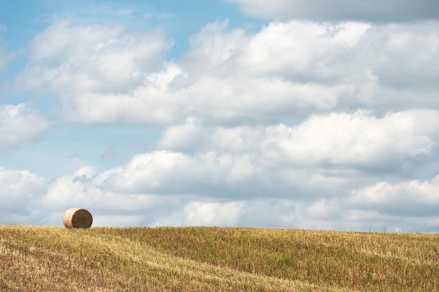 A round haystack in a field against a background of blue sky and fluffy clouds The season of harvesting and grain crops Beautiful landscape in an agricultural field