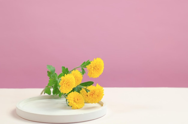 Round podium for the presentation of products and cosmetics Empty stand for packaging Cosmetic display case with yellow chrysanthemum flowers