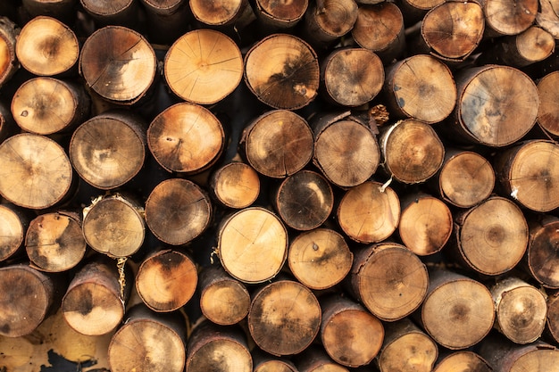 Round split logs piled in rows wood texture.