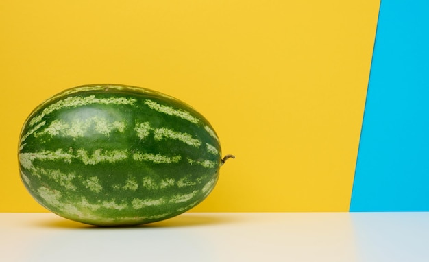 Round striped green watermelon on a yellowblue background