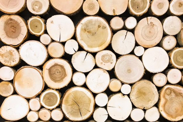 Round teak wood stump background. Trees cut section texture