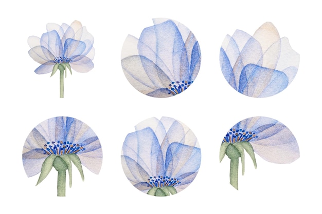 Round watercolor stickers set Elegant watercolor flower on a long stem Pink and blue flower with transparent petals