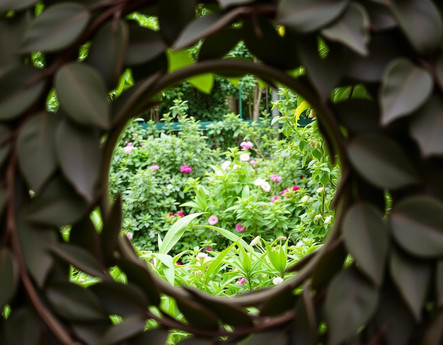 Photo the round wedding arch on the background