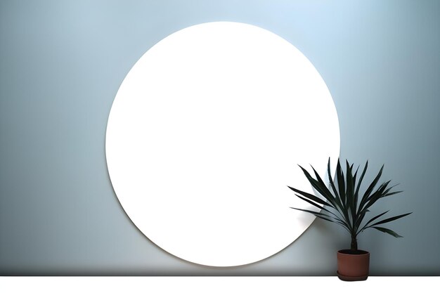 Photo round white circle on a blue wall with a plant in the pot and a plant in the pot