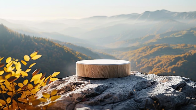 A round wooden podium on a rock with background of mountains