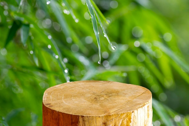 Round wooden saw cut cylinder shape for product display with bamboo leaves after raining