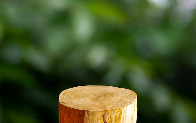 Round wooden saw cut cylinder shape for product display with green bokeh abstract background