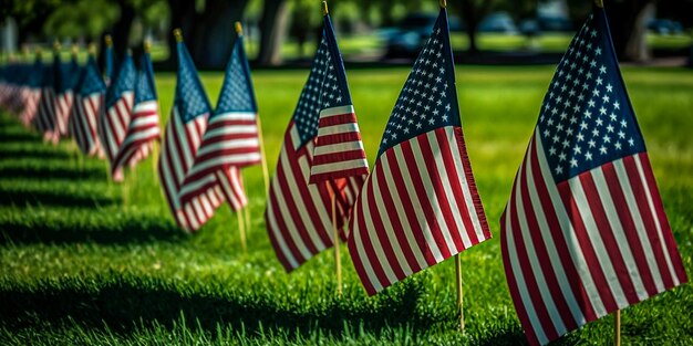 Row of American Flag on a green grass yard blow in the wind Memorial Park