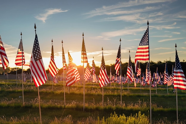 A row of american flags in a field with the sun setting behind them