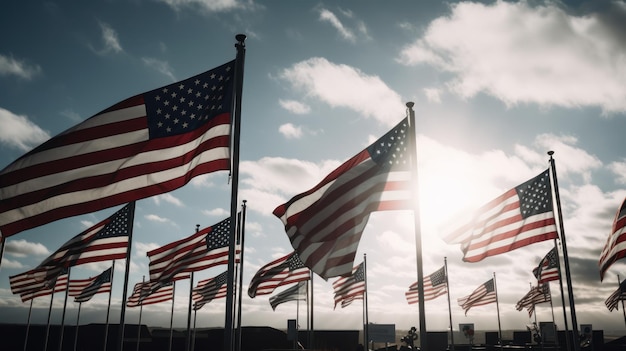 A row of american flags with the sun shining on them