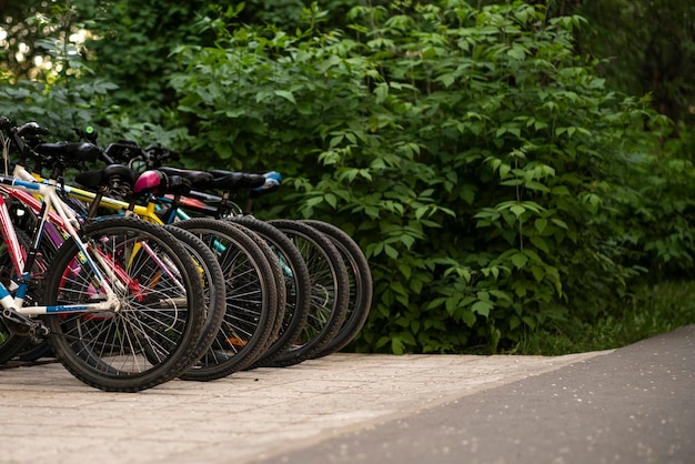 A row of bicycles parked in the street for rent eco friendly transport