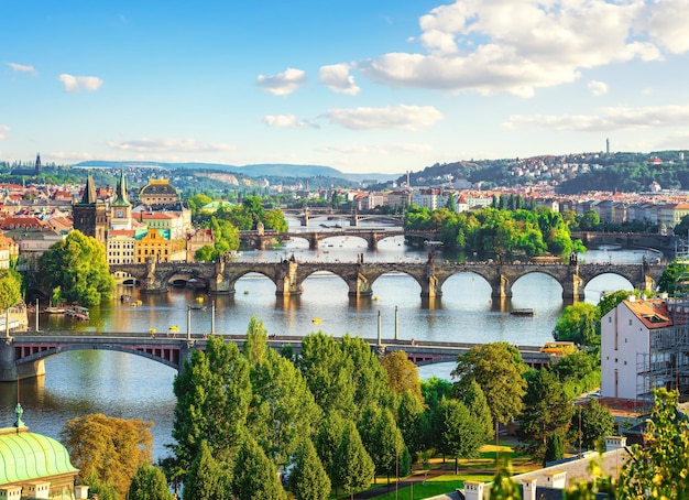 Row of bridges in Prague at summer day