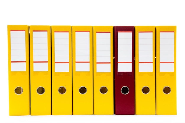 Row of folders for papers and documentation on a shelf in the office