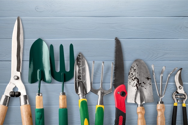 Row of gardening tools on wooden background