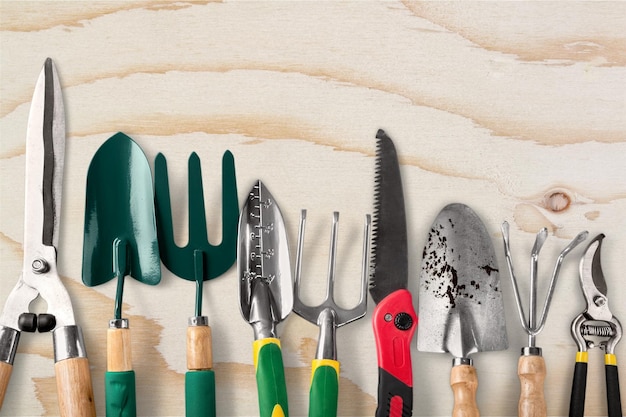 Row of gardening tools on wooden background