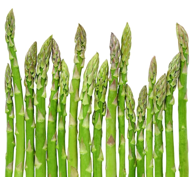 Row of green asparagus isolated on white background