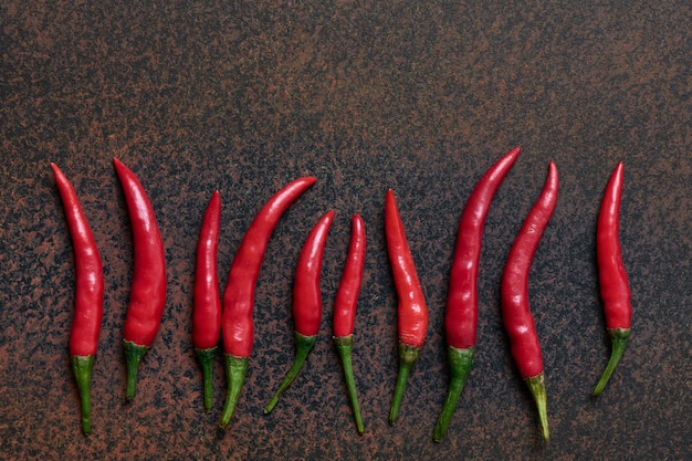 Row of lying pods of burning and spicy red chili peppers