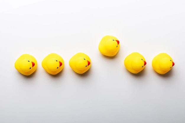 A row of rubber duckies