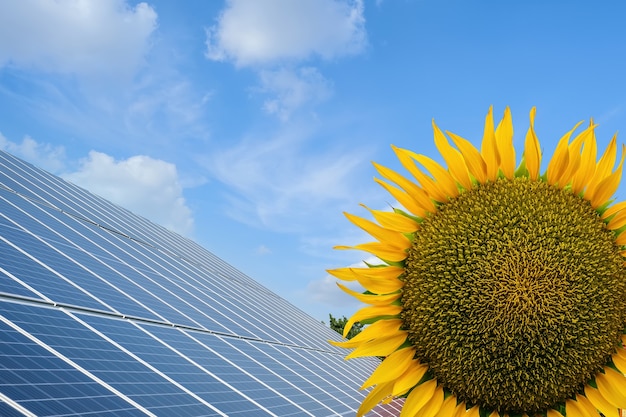 Row of solar panels on a solar farm and house under a blue sky