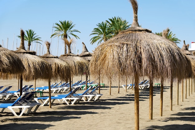 Row of straw umbrellas with sunbeds on the beach in Marbella, Spain