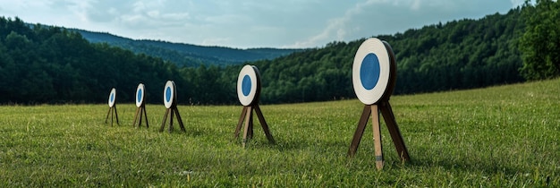 Photo row of targets in a lush green field a row of wooden targets stand tall in a vibrant green fi