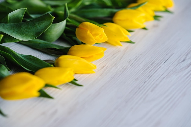 Row of yellow tulips on white rustic wooden background with space for message Concept Hello Spring flowers Holiday greeting card for Valentine's Women's Mother's Day Easter Side view