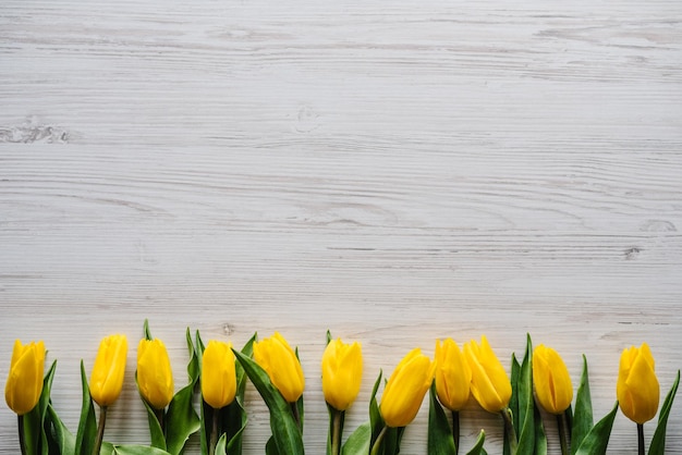 Row of yellow tulips on white rustic wooden background with space for message Concept Hello Spring flowers Holiday greeting card for Valentine's Women's Mother's Day Easter Top view flat lay